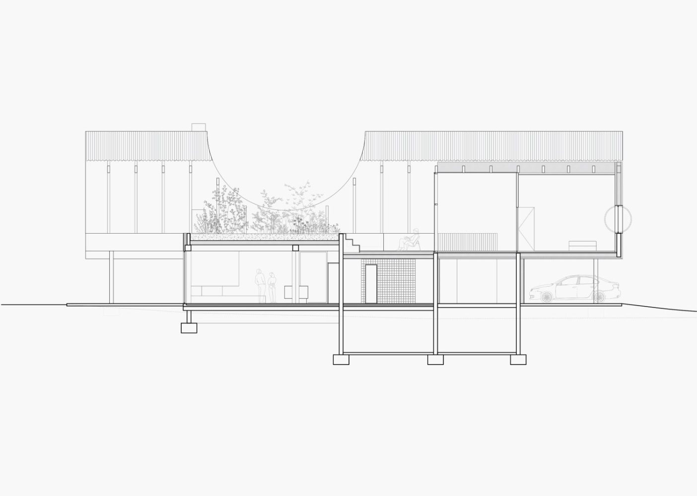 Plan de coupe longitudinale d'une maison avec grande terrasse et toit végétalisé
